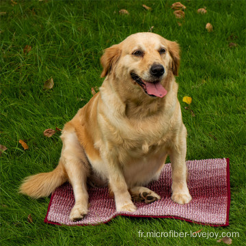 Serviette de bain pour animaux de compagnie en chenille en fibre super absorbante